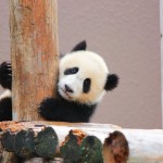 936385bf3f5eb903ed9cb60be88b9c42_l